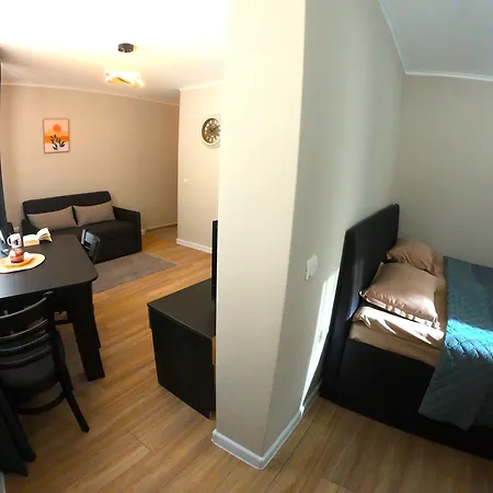 Dream View شقة فندقية بامبوروفو