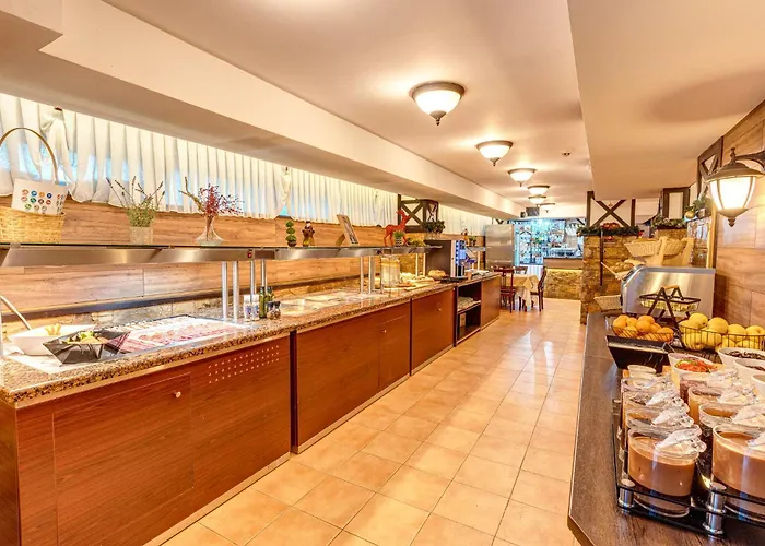 Dream View パンポロボ