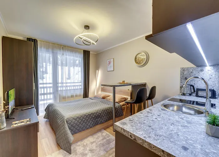 Dream View パンポロボ