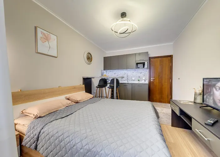 Dream View パンポロボ